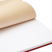Tesi di laurea beige - immagine 3