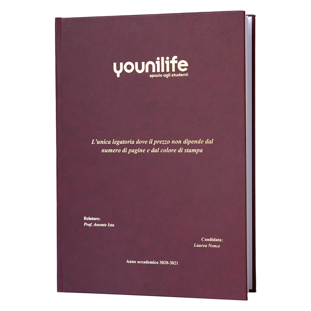 Nürma: tesi rigida in similpelle - immagine 3